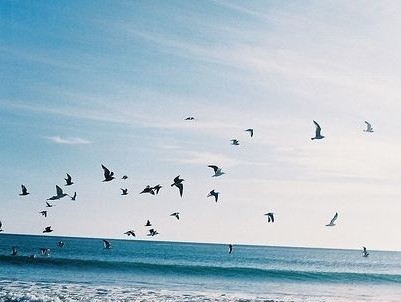 经典现实说说:我不知道我是在听歌,还是在听自己。