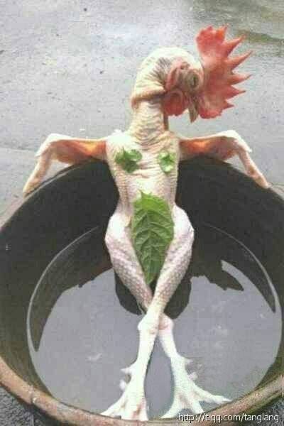搞笑说说加图片8