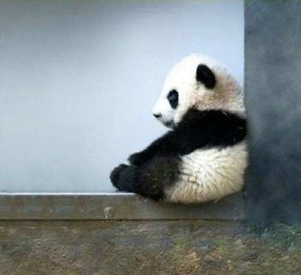 霸气说说带图片8