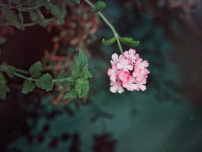 伤感图片说说大全13