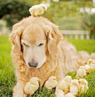 含有图片的说说10