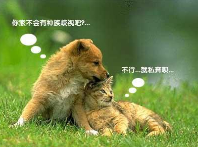 扣扣说说图片1