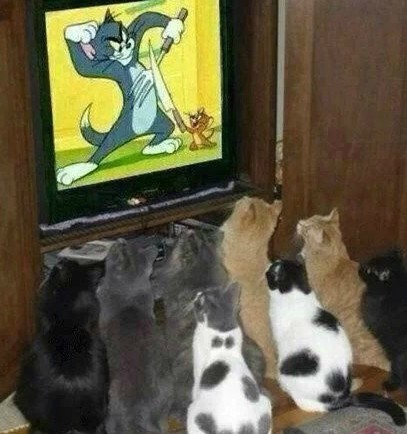 ��Ц�Ĵ�ͼƬ˵˵12
