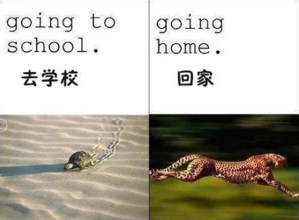 Ц˵˵ͼƬ4