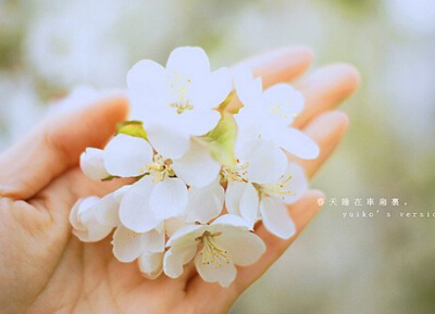 空间短语说说和图片6