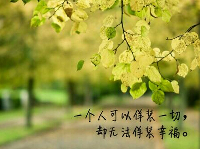 带字的图片说说11 带字的图片说说11