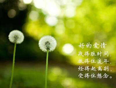 说说图片加文字2 说说图片加文字2