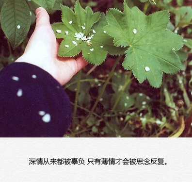 说说图片加文字7 说说图片加文字7