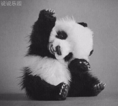 QQ个性说说加图片11 QQ个性说说加图片11