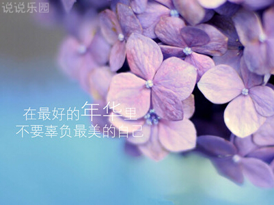说说文字控图片9 说说文字控图片9