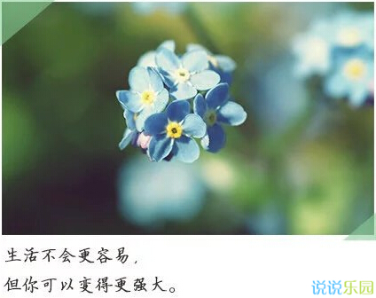 带文字的图片说说5 带文字的图片说说5