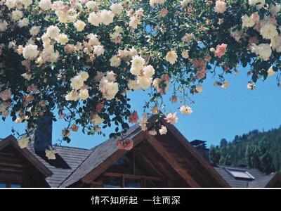 带文字的图片说说13 带文字的图片说说13