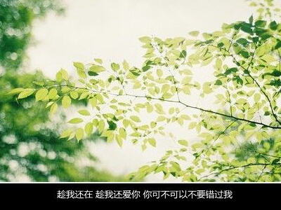 2016说说带字图片2 2016说说带字图片2