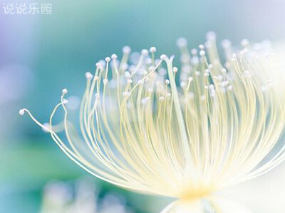 文艺说说配图,文艺说说大全带图片6 文艺说说配图,文艺说说大全带图片6