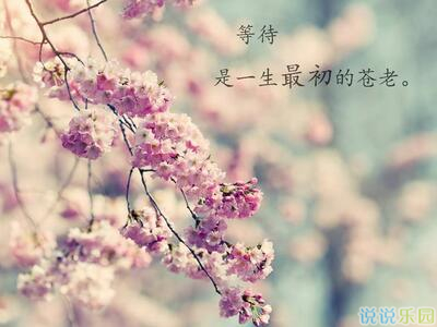 唯美文字图片,唯美意境图片带文字4 唯美文字图片,唯美意境图片带文字4