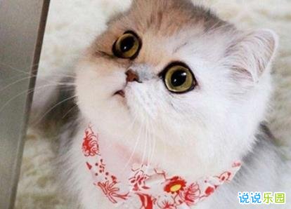 可爱俏皮的短句 适合发空间可爱的句子