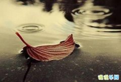 ˸ʺϷȦ˵˵ ʺϷ˸˵˵ľ