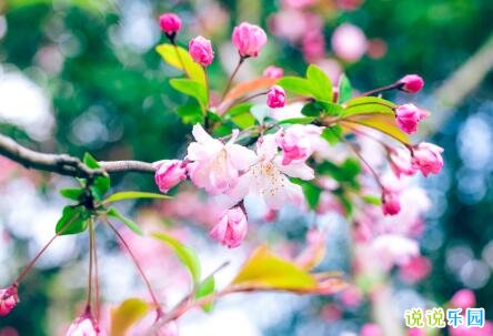 2020女神节经典祝福语 祝福女神节快乐的话