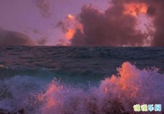 �����İ� ������黰�İ�