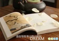 �ʺ�д�����ϵ�С�̾� �ʺ�д�ڿ�Ƭ�ϵ��İ�