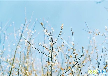 QQ空间哲理文案 高质量文案句子哲理