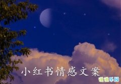 С��������İ� С���������¼�̾�