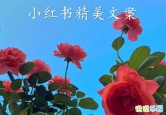 С���龫���İ� С����õ��İ�