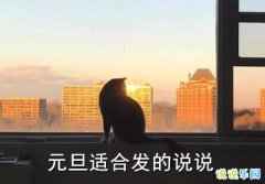 Ԫ���ʺϷ���˵˵ Ԫ���ĸ���˵˵ǩ��