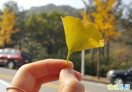 让人一看就赞的个性说说