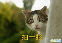 ��һ�ĵ�������Ĭ���� �������ҵĸ�Ц����