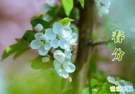 2021春分节气祝福语精选