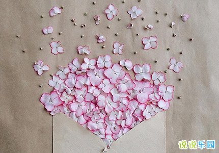 QQ空间温柔说说文案 仙到极致的温柔句子