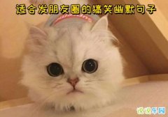 �ʺϷ�����Ȧ�ĸ�Ц��Ĭ����