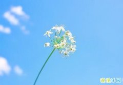 ��һ�Ͷ��ڼ��� ��һ�����Ͷ��ڵ�ף����