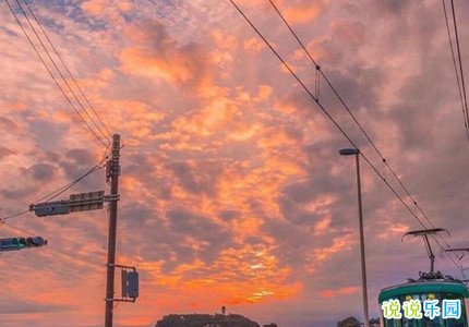 520情人节官宣的文案