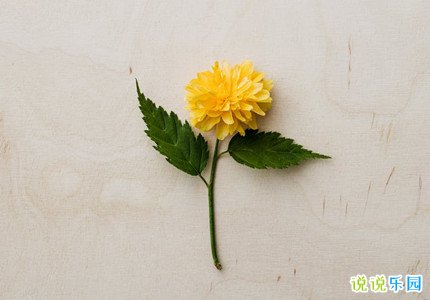 好听的句子八个字 八个字的文案短句