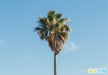 独特个性签名短句 简单又独特的签名