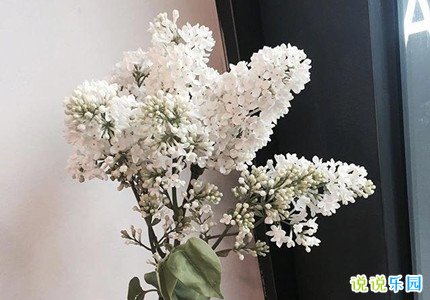 小众ins文案 ins风温柔文案