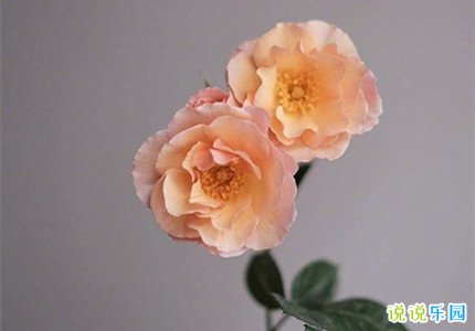 适合发空间的文案唯美浪漫