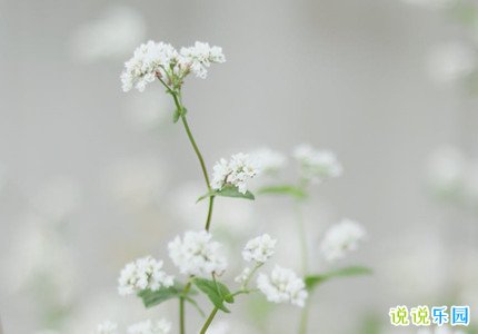 高质量文案句子唯美惊艳
