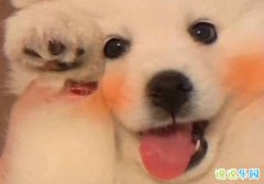 Ϧľ Ϧ˵˵Ц