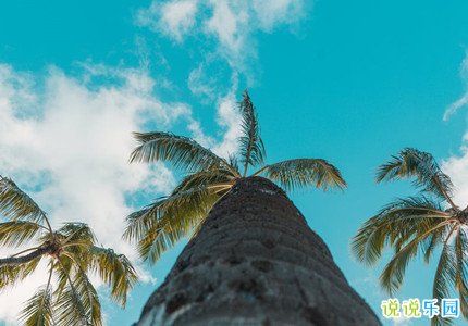 发朋友圈表达心情的文案 发朋友圈很棒的心情说说