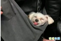 �ǳ�������Ĭ�ĸ�Ц˵˵