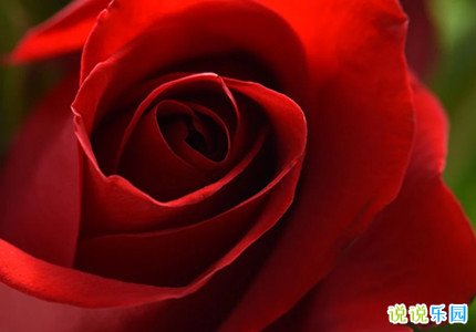 ����С�ڰ����İ��̾�