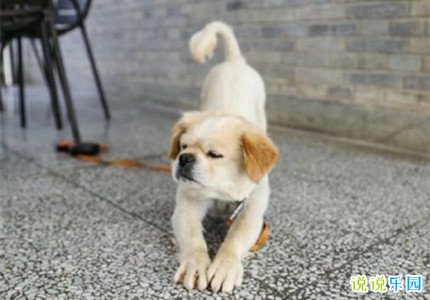 双十一光棍节搞笑文案 光棍节搞笑说说句子