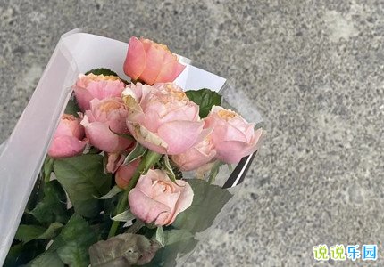 圣诞节的浪漫情话 圣诞节写给喜欢人的圣诞情话