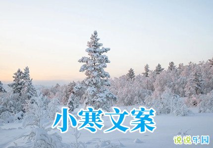 小寒文案温柔短句 小寒发抖音文案优选30句