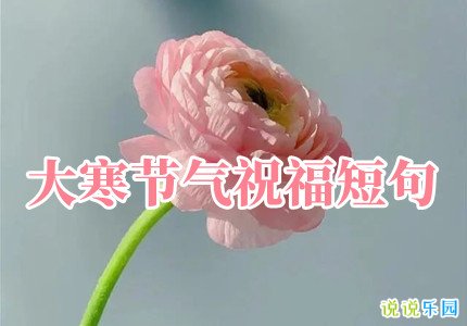 大寒节气祝福短句