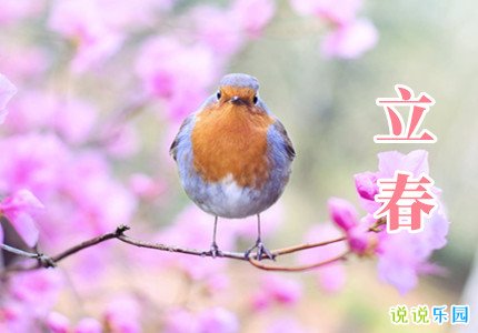 今日立春文案 立春到的心情说说