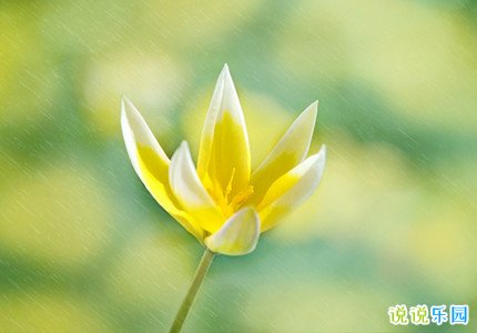 雨水节气的心情说说 暖心的雨水节气祝福文案